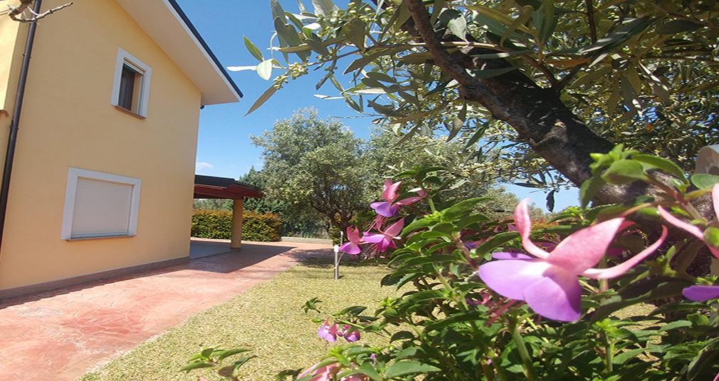 Villa Aurelio Squillace Exterior photo